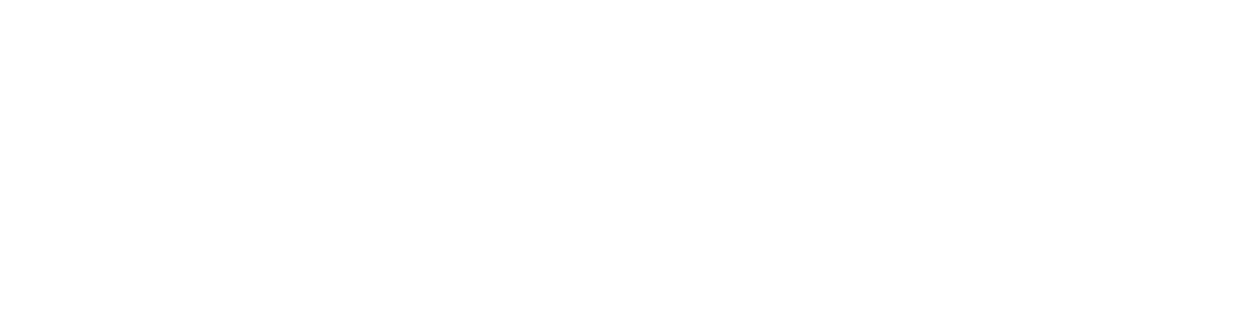 Extension Logo in white